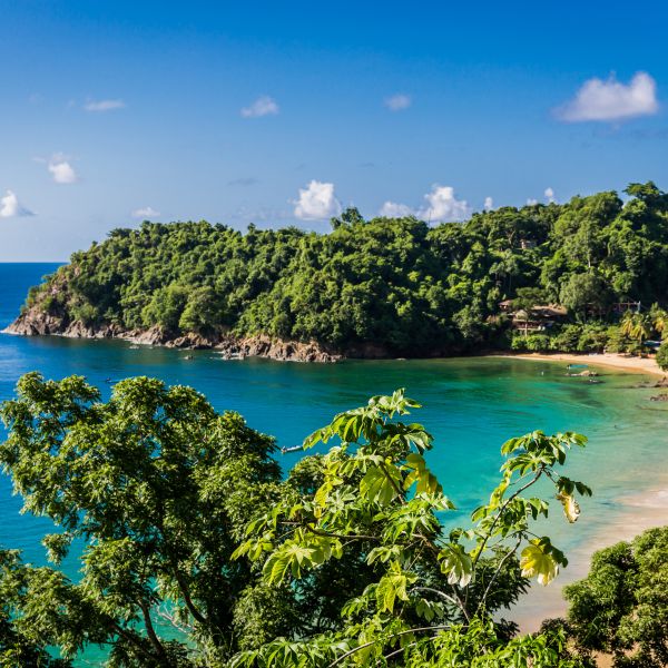 Destination Croisières Trinité-et-Tobago
