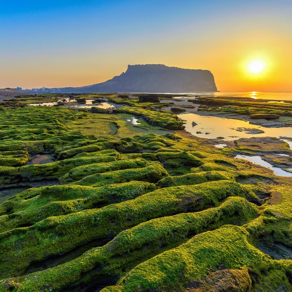 Destinations Croisières Île de Jeju