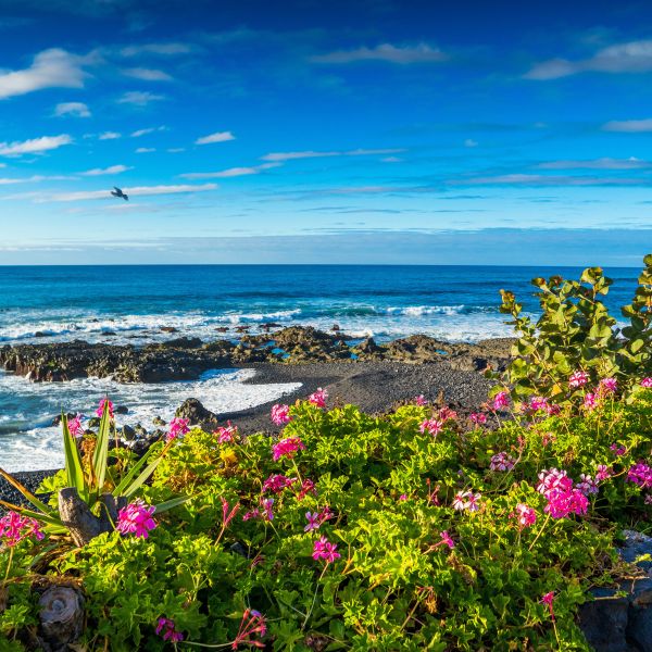 Destinations Croisières Canaries Tenerife