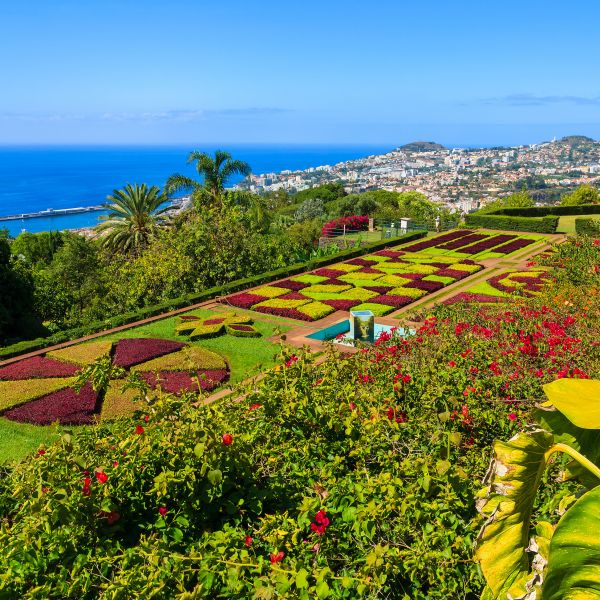 Destinations Croisières Funchal