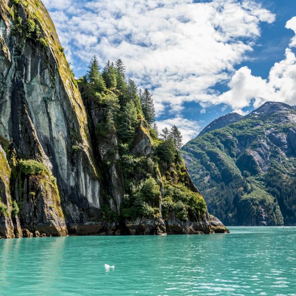 Destinations Croisières Tracy Arm Fjord