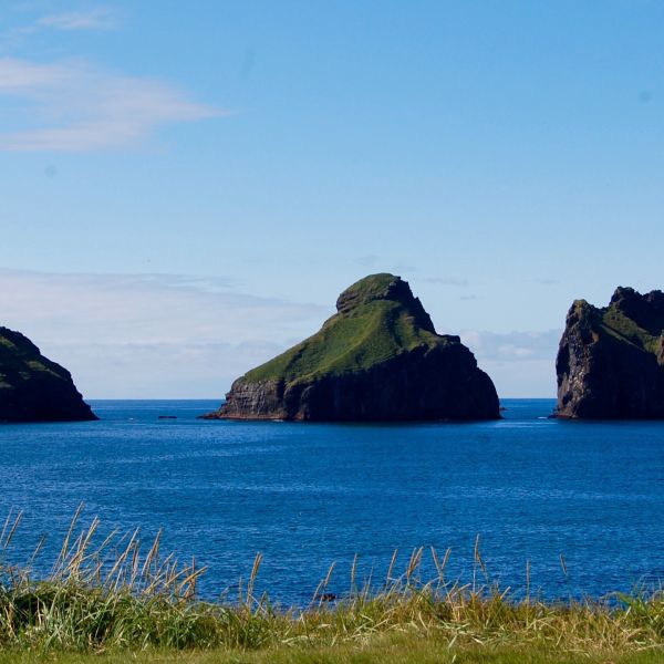 Destinations Croisières Heimaey, Îles Vestman